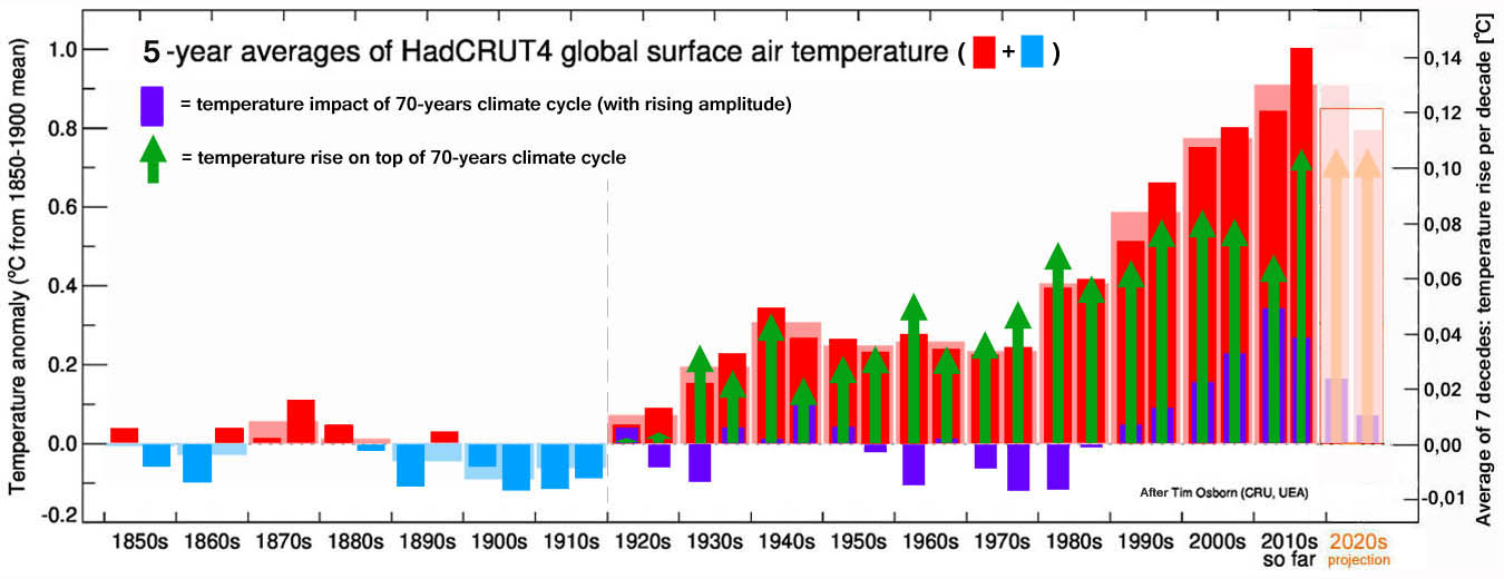 HadCRUT4 temperatuur stijging per half decennium: de groene pijlen tonen de temperatuurstijging t.o.v. 7 decennia eerder + de paarse kolommen tonen de impact van de 70-jarige cyclus.