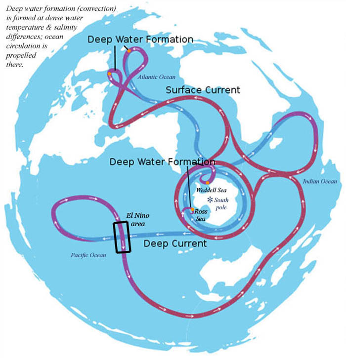 De thermohaliene-circulatie beschrijft de zeestroom wereldwijd.